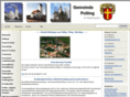 polling.de