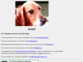 buddythedog.com