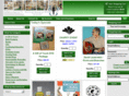 dsmstore.net