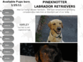 pineknotterlabradors.com