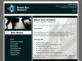 blackboxbrokers.com