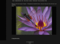 imagismphotos.com
