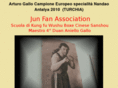 junfankungfu.com