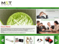 mtgroupmt.com