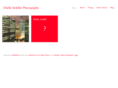 chelleschiller.com