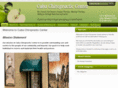 cubachiropracticcenter.com