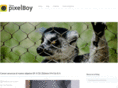 dosenruta.com