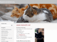 katze24.net