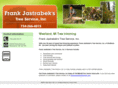 treeservicelivonia.com