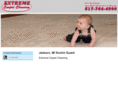 carpetcleaningjacksonmi.com