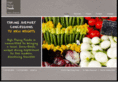 highflyingfoods.com
