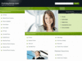 hollidayfence.com