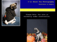 illshootyouphoto.com