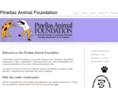 pinellasanimalfoundation.com