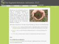 thesapientsolution.com