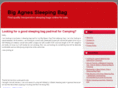 bigagnessleepingbag.org