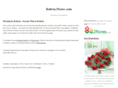 boliviaflores.com