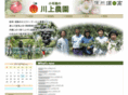 shinshu-sukoh.com