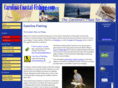 carolina-coastal-fishing.com
