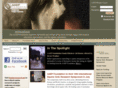 aaepfoundation.org