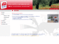 castellumimmobilier.com