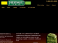paramountcubing.com