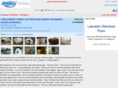 peruvianguineapigs.com