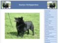 sanlynschipperkes.com