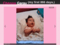 chenoagaray.com