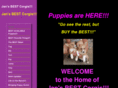 jansbestcorgis.com