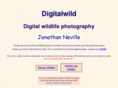 digitalwild.co.uk