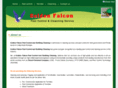 goldenfalconuae.com