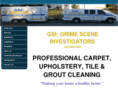 grimesceneinvestigatorssite.com