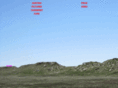 privatehunting-necolo.com