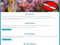 diveconnect.com