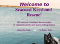 seacoastkeeshond.com