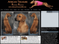 africantreasurerr.com