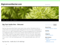 bigtrainvanillachai.com
