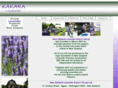 lavenderexport-nz.com