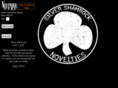 shamrocknovelties.com