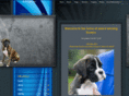 sivadboxers.com