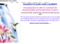 squeekycleancoinlaundry.com