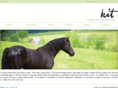 kitmenis.com