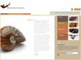 mrwoodsfossils.co.uk
