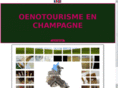 oenotourismeenchampagne.com