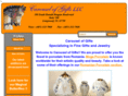 carouselofgifts.com