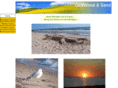 driftwoodsand.com