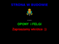 oponyserwis.net
