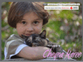 cheynamaree.com
