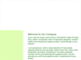 cmholding.com